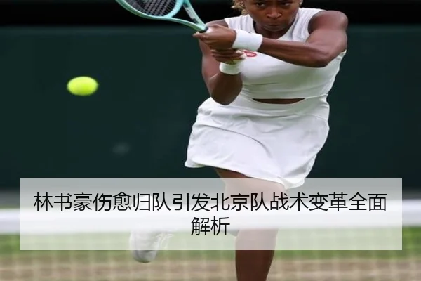 林书豪伤愈归队引发北京队战术变革全面解析